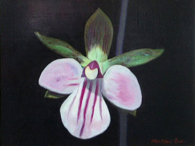 Single Purple Orchid, (1992) by  Alton Lowe, 19" x 12"