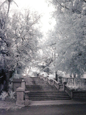 Frederick Street Steps Bottom View (2007) by Paulette Mortimer, 21" x 18"