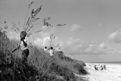 Collecting Sea Oats (1978) by Roland Rose