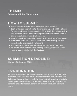 Submission Guidelines