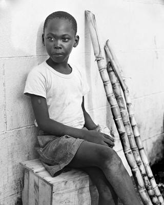 Proud Young Man with Sugar Cane (1956) by Roland Rose