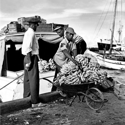 Bananas for Sale (1953) by Roland Rose 